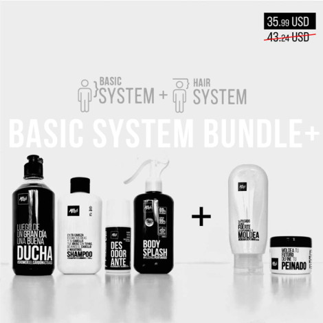 Basic System Bundle+